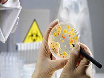 Micro Biology